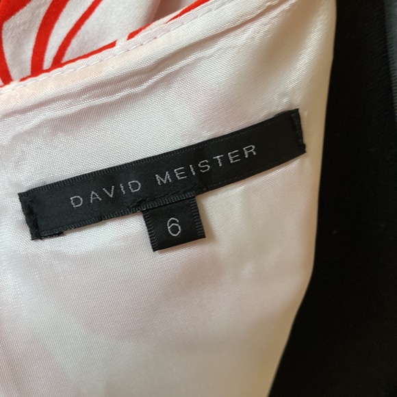 DAVID MEISTER DRESS - Picture 8 of 11